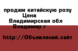продам китайскую розу › Цена ­ 3 000 - Владимирская обл., Владимир г.  »    